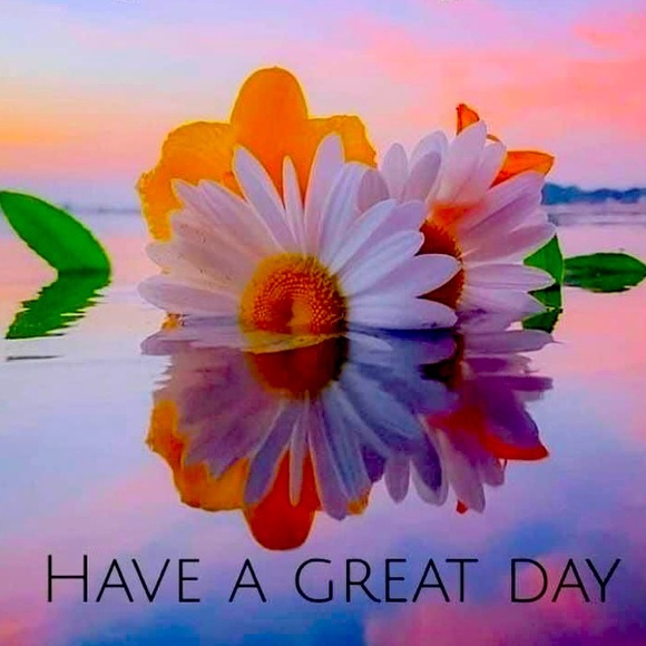 Meet your Posher, Kimber - Picture 1 of 1